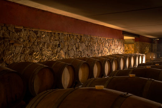 La cantina dell'agriturismo